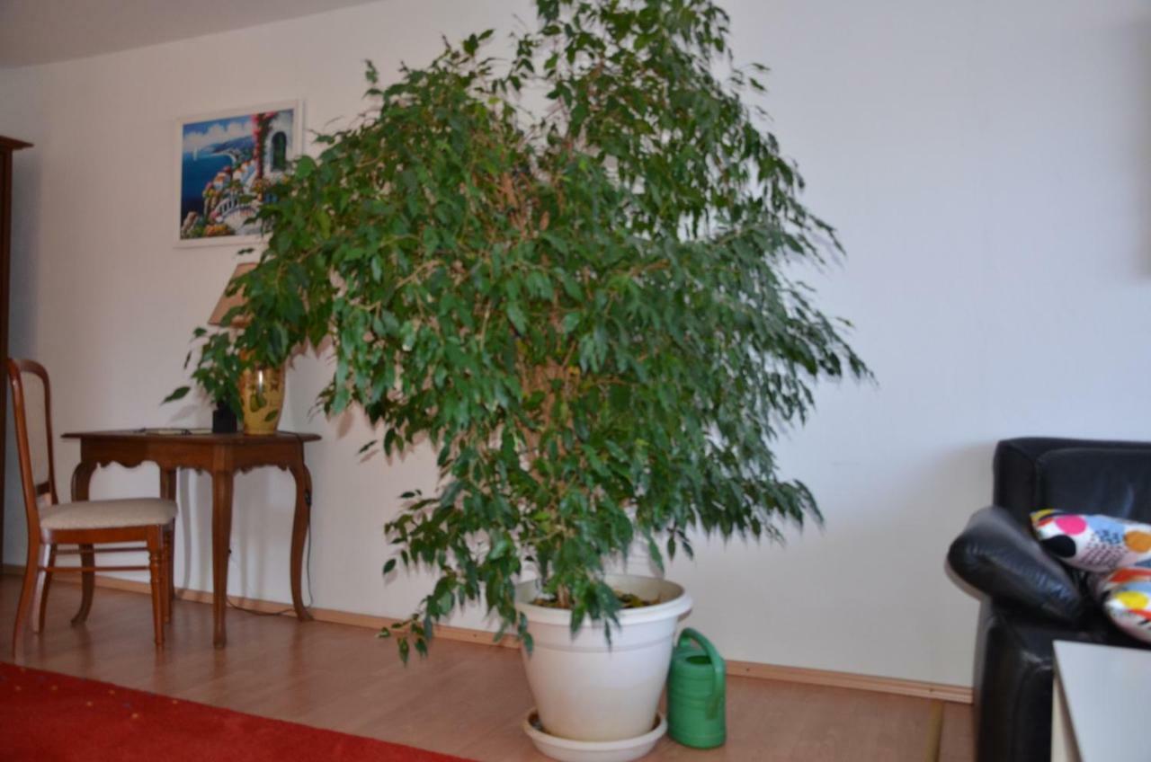 Ferienwohnung Pascale เมทท์ลาค ภายนอก รูปภาพ